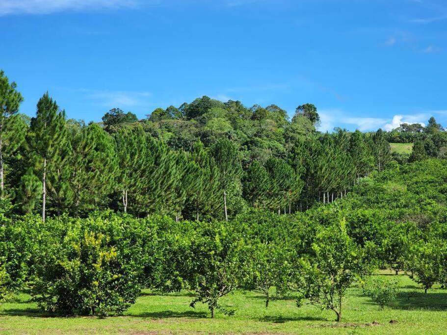 Hospedaje Finca Agroturistica Dona Rufa Rio Sereno Exterior photo