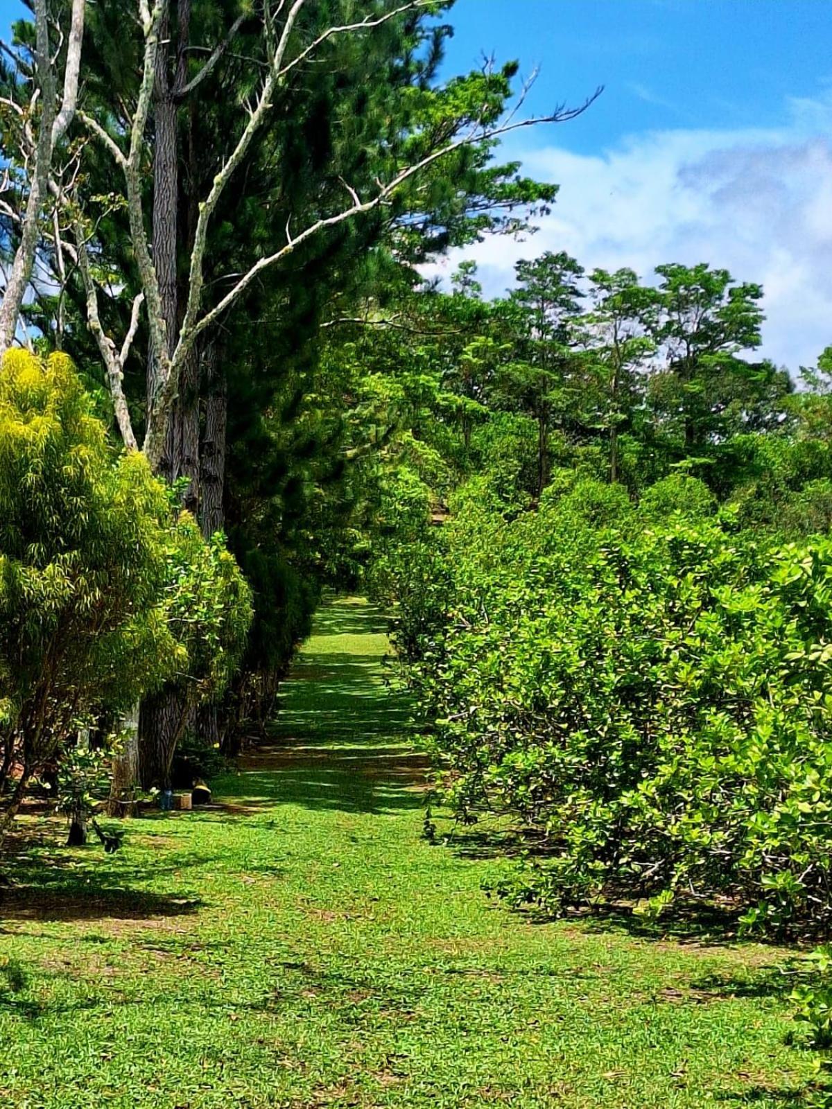 Hospedaje Finca Agroturistica Dona Rufa Rio Sereno Room photo